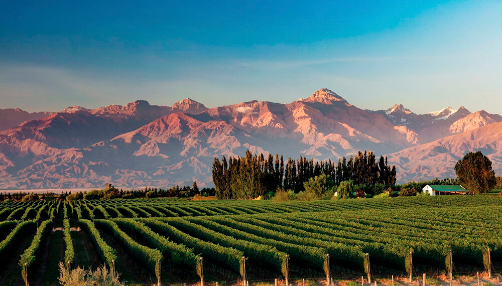 MENDOZA- Tierra del Sol y del Buen Vino !!!!! Salida 20/01/26 - Consultar otras fechas 